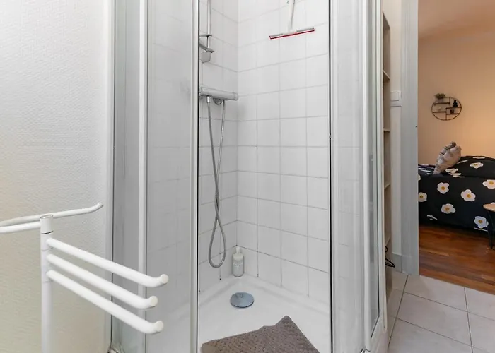 Le Desbrest - Calme Et Lumineux En Centre Vichy